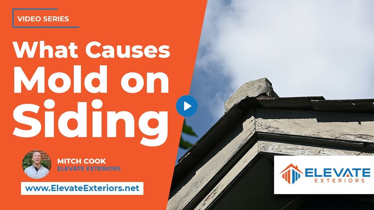 what causes mold on siding